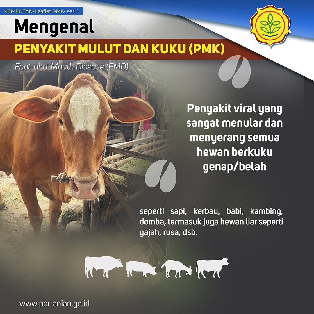 Mengenal PMK