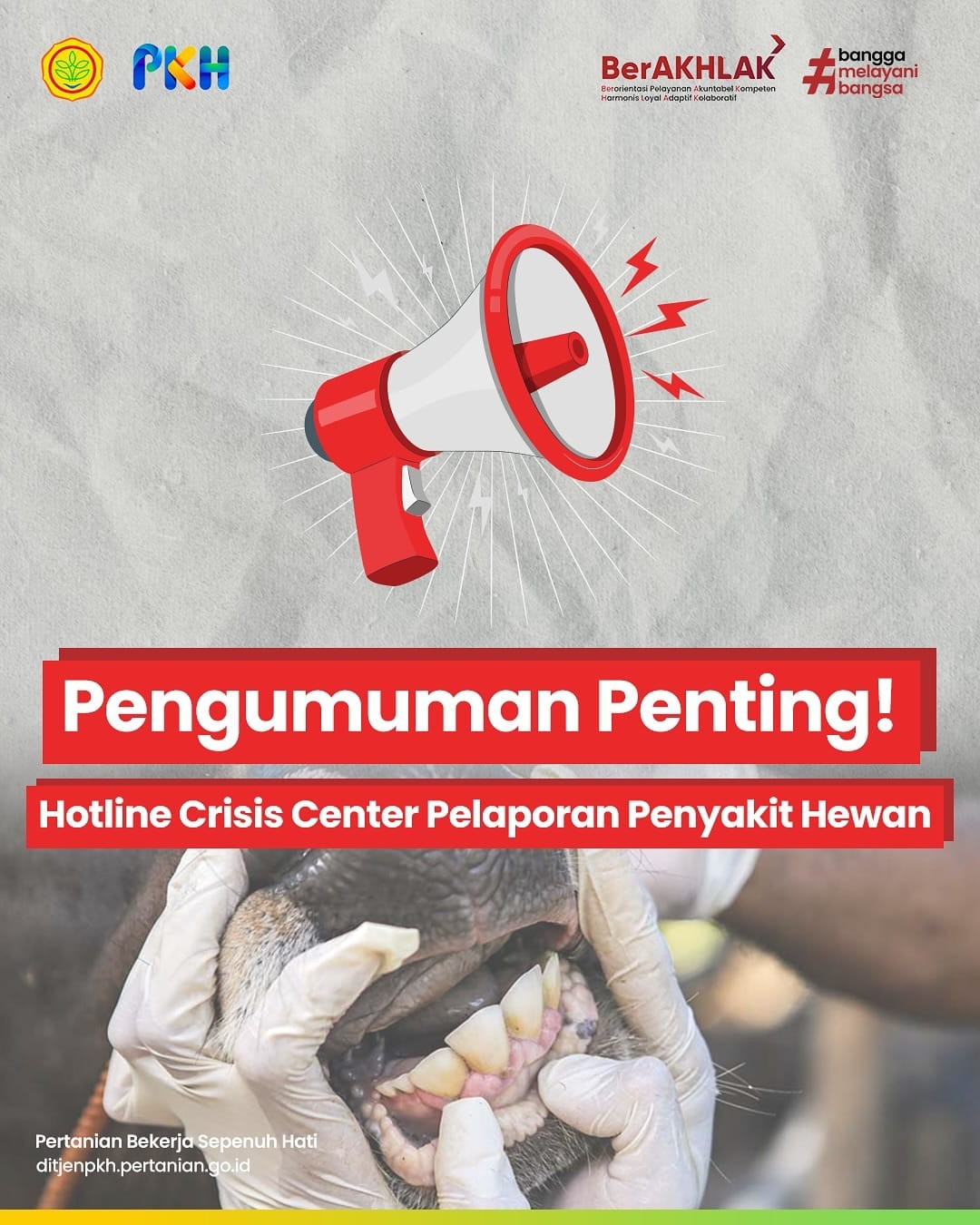 Pengumuman Hotline Crisis Center Pelaporan Penyakit Hewan