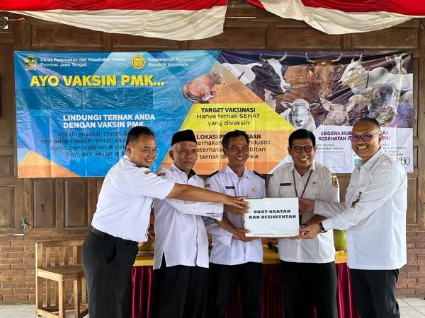 Kementan Terjun ke Peternak di Semarang, Bekali Peternak Hadapi PMK