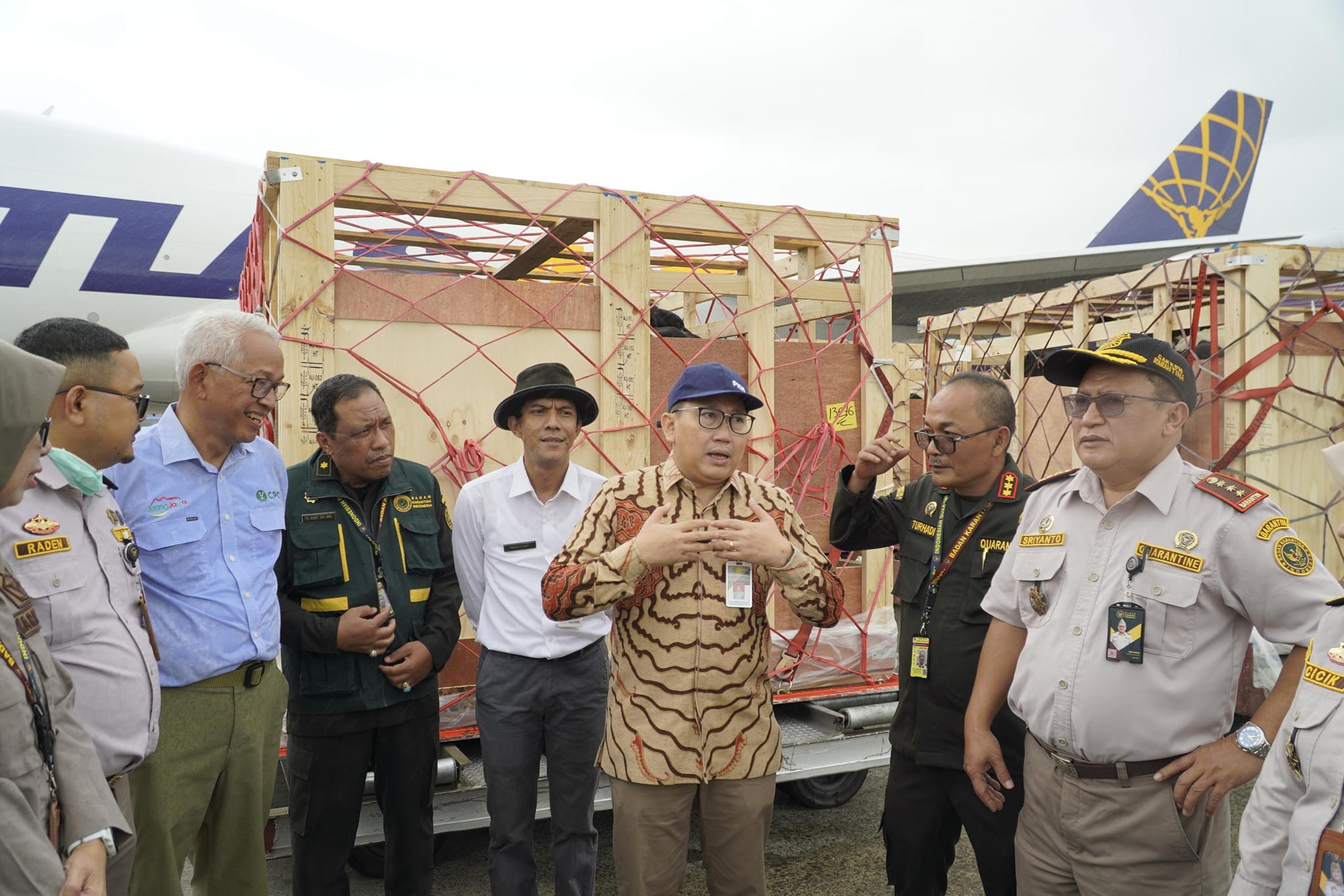 Komitmen Investasi  Sapi Perah Bunting Impor Tiba Perdana di Tanah Air