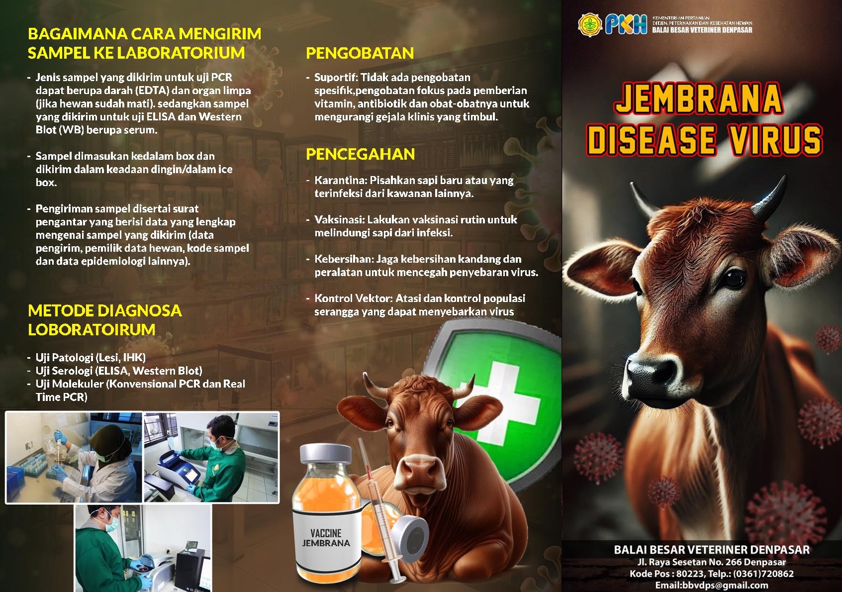 Jembrana Disease Virus