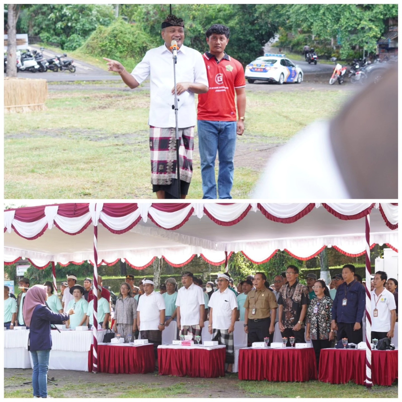 Lomba Bibit Ternak Sapi Jantan Meriahkan HUT Ke-254 Kabupaten Gianyar